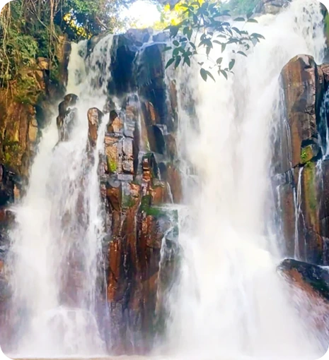 cachoeirabernardoalemao